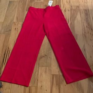NWT Beautiful Zara fuchsia wide leg pants XL